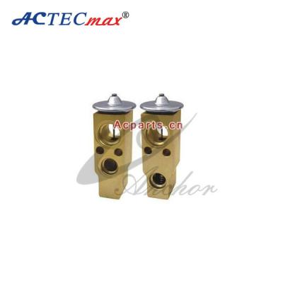 China car AC Expansion Valve , Auto air conditioning expansion valve For Infiniti G20 for sale