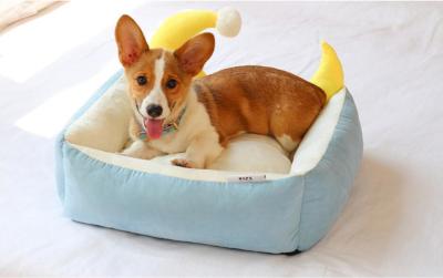 China Eco - Friendly Comfort Pet Beds , Cute Pet Beds Fashionable 3 Colors Available for sale