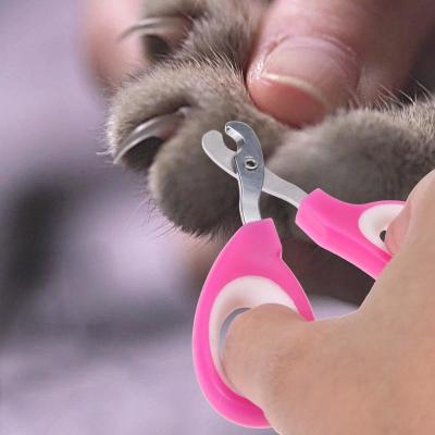 China Tijeras rosadas del clavo del animal doméstico del color, diseño ergonómico de la amoladora del clavo de la pedicura del animal doméstico en venta