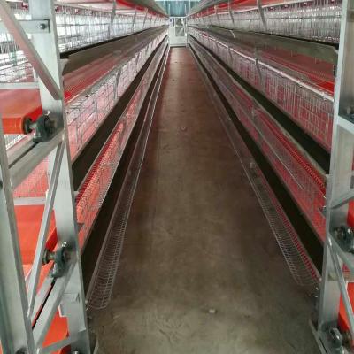 China Cultivate Large High Quality Chicken Egg Layer Cage Layer Chicken Cage Cages for sale