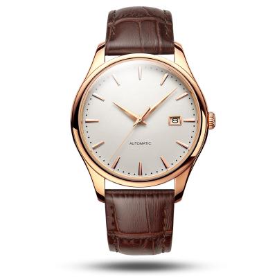 China Self Wind Day/Date 316L Stainless Steel Case Sapphire Crystal Glass Custom Luxury NH35 Movement Mechanical Watch for sale