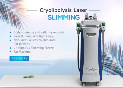 Cina Cryolipolysis dilagante non che dimagrisce macchina con lo schermo a colori a 10,4 pollici di tocco in vendita