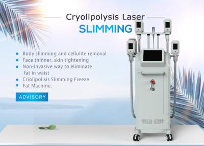 Cina Le celluliti riducono Cryolipolysis che dimagrisce l'attrezzatura di congelamento grassa del peso perdita di Cryo/della macchina in vendita