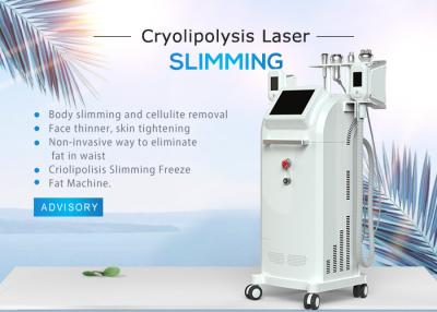 Cina Acqua + raffreddamento a aria Cryolipolysis a 10,4 pollici che dimagrisce macchina con 5 maniglie 1800W in vendita