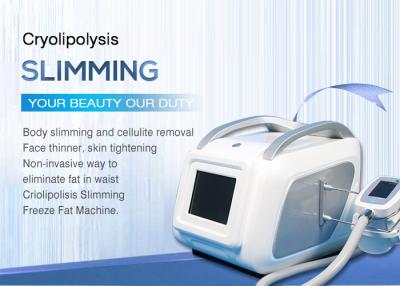 Cina Mini ente di Cryolipolysis di cavitazione di ultrasuono che dimagrisce macchina/l'attrezzatura ringiovanimento della pelle in vendita