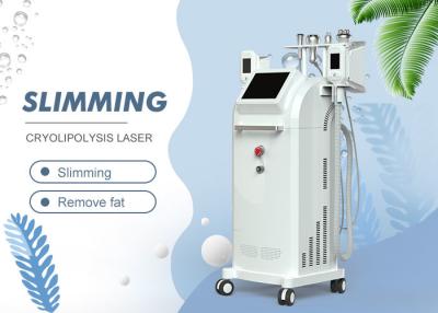 Cina Touch screen 5 in 1 macchina di dimagramento/nel vuoto grasso di cavitazione rf gelata di Cryo Lipo che dimagrisce attrezzatura in vendita