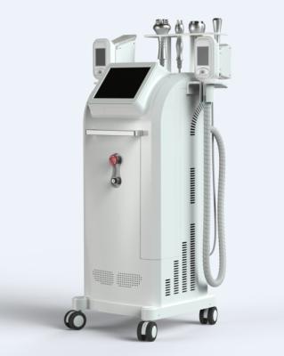 Cina Riduzione delle celluliti del corpo di cavitazione di Cryolipolysis che dimagrisce 1800W efficiente a macchina in vendita