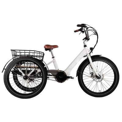 China New Aluminum Alloy Electric Tricycle Car Passenger Tricycles Electrico Triciclo Cargo 3 Wheels e Electric Bike for sale