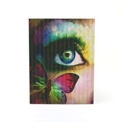 China New full round eye Diy Diamond Crafts Painting With Frame of the drill 5d Diamond Painting Mosaic Embroidery Alluring American style for sale