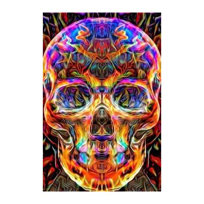 China Creative Decoration CREATIVE Art Factory Direct Sales of 5d Diamond Painting Skulls Diy Crystal Diamond Embroidery Kit Indoor Wall for sale