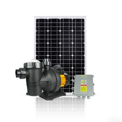 China Filter 3 Years Warranty 72V 900W DC Pool Brushless Solar Water Pump With Controller for sale