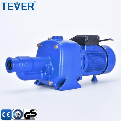 China High Flow Water Supply High Lift Heavy Duty Brass Twin Impellers Cast Iron Deep Well Self Priming Pump for sale