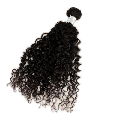 China 100% Non-Chemical KAMA Hair Jerry Curl Hair Bundles Jerry Curly Hair Extensions 8