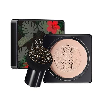 China Wholesale High Quality Moisturizer Private Label Mushroom Air Cushion Full Cover Foundation BB and CC Creams (New) CC Cream Foundation for sale