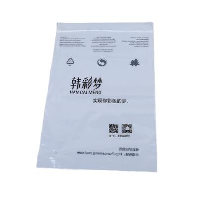 China Recyclable Recycled Pouches Frosted Shipping Apparel Zipper Zippers Lock Apparel Packing Plastic Bag for sale