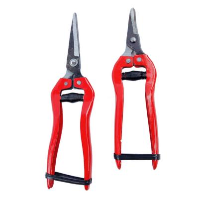 China Anti-Slip Flower Balance Hand Held Plant Branch Handle Blade Garden Shears Straight Curved Garden Scissors for sale