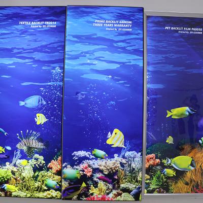 China 8.Indoor & Outdoor Advertising Backlit Key Sign Flex Banner For Led Roll Or Roll Up Screen for sale