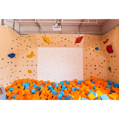 China Bouldering Adult Climbing Wall Adult Bouldering Wall Rock Climbing Wall Te koop