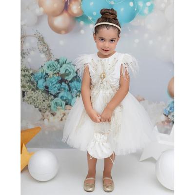 China Exquisite High-end Yalindars Clothing Baby Gift Regular Princess Children Kids Girls Dress Embroidery Clothing With Shoulder Feather for sale