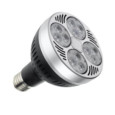 China LANDSCAPE e27 led par30 30w 35w metal halide led replacement spot light for sale