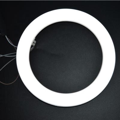 China Residential 220VAC G10q T9 LED 5000K Frosted Circular Tubes For Photo-studio Diameter 205mm 8 Inch LED Circline Lights for sale