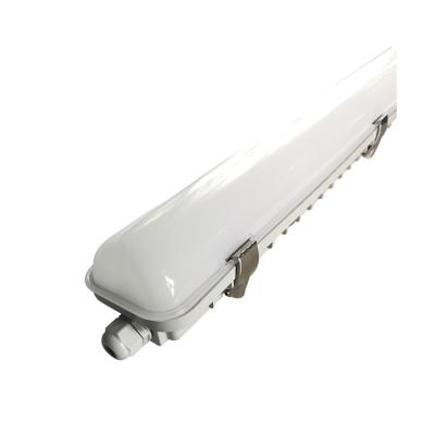 China 1200mm 4ft 50w LED Light Waterproof Linear Vapor Proof Tri LED Batten Light Tight Warehouse Lamp LED Lights IP65 for sale