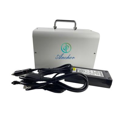 China 3g 12v 24v Ozone Sterilizer Machine For Car Home Electrical Portable à venda