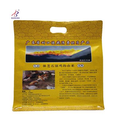 China Moisture proof with zipper and handle for sale