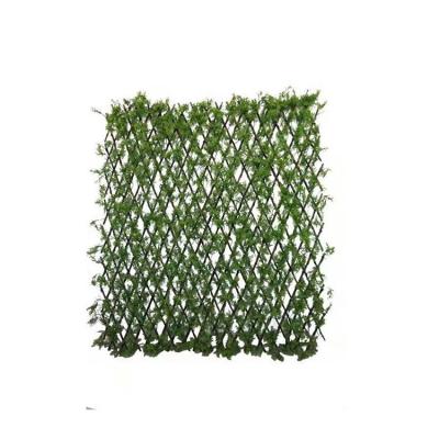 China Easily Assembled Fence Flower Bed Expanding Willow Trellis from Manufacturer Wholesale Sophisticated Technology for sale