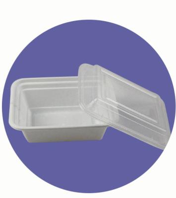 China DISPOSABLE PLASTIC RECTANGULAR BOX, LUNCH BOX, WITH CLEAR LID/COVER for sale