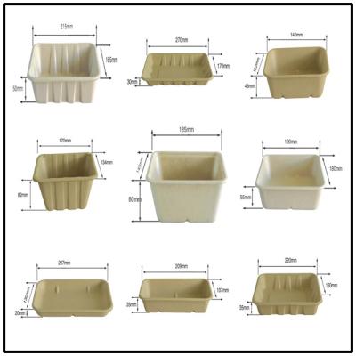 China BAGASSE BIO-DEGRADABLE TRAY, 100% BAGASSE RAW MATERIAL, STURDY AND PRETTY for sale