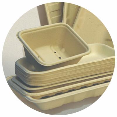 China BAGASSE BIO-DEGRADABLE TRAY, 100% BAGASSE RAW MATERIAL, STURDY AND PRETTY for sale