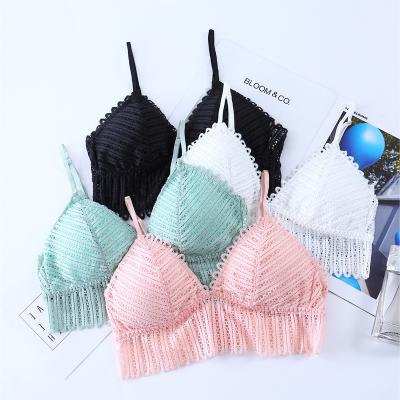 China New Breathable Lace Breast Pad Without Steel Ring Adjustment Straps For Women Beautiful Yoga Bra for sale