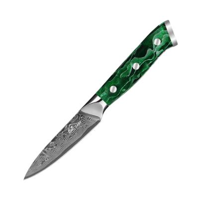 China Viable High Quality Sharp Blade Engraving Custom Knife 3.5 Inch Damascus Steel Paring Knife for sale