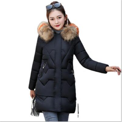 China Factory Price Viable High Quality Women's Midi Appropriate Pattern Down Thick Cotton Hooded Coat With Detachable Fur Collar for sale