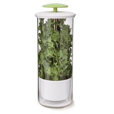 China Sustainable extra large glass Herb Keeper design for greens and vegetables for sale