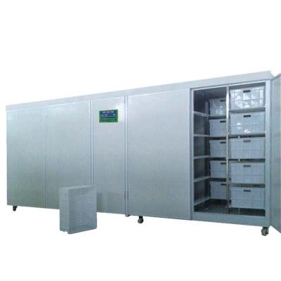 China High Quality Domestic Full Automatic Bean Sprout Growing Bean Sprout Machine for sale