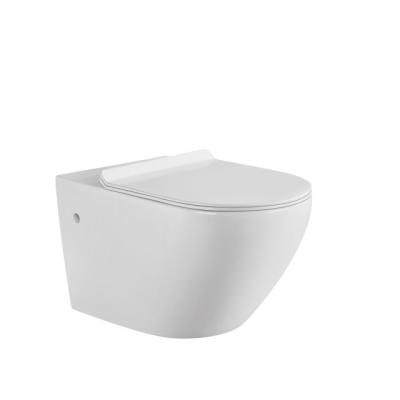 China High Quality Chinese Hung Rimless Flush Wc Toilet Cistern Wall Mounted Cistern Bathroom Product FT150 for sale