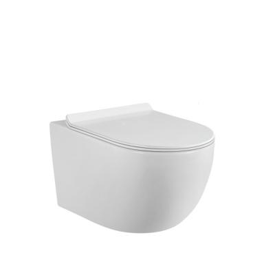 China FT176 Ceramic Cistern Wall Mounted Toilet Hung Hidden Rimless Toilet Bowl for sale