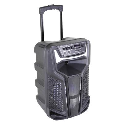 China No 12 Inch Multifunction Cart Speaker With MIC Wireless Sound PA System for sale