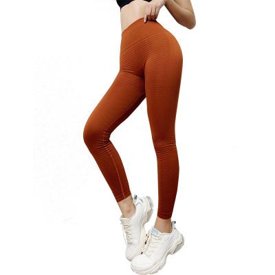 China Breathable Fishing Hip Sports Hip Lift Seamless Knitted Yoga Pants Women for sale