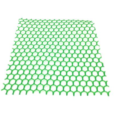 China Durable Experienced Manufacturing Plain Plastic Mesh Plastic Flat Net for sale