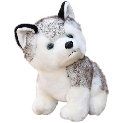 China Kids Gift/Promotion/Soft Husky Plush Toy Realistic Doll Decoration Factory Price 20cm Husky Stuffed Animals Plush Dog for sale