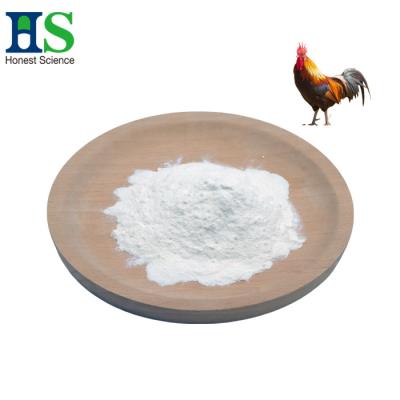 China Chicken Breast Cartilage Collagen Ii Powder 40 Mesh 80 Mesh for sale