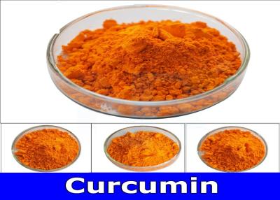 China Yellow Orange Fine Turmeric Curcumin Powder Turmeric Root Extract Curcumin USP40 Standard for sale