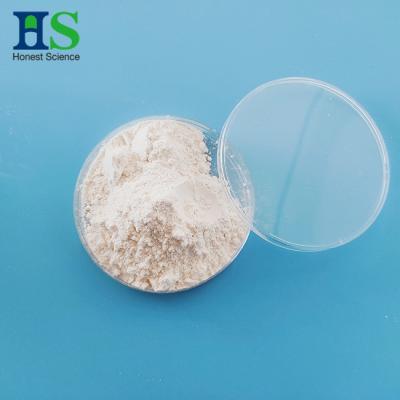 China Food Grade Hyaluronic Acid White Powder With Assay NLT 92% GMP Certificate for sale