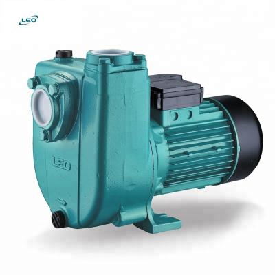 China Automotive Industry High Performance LION 1.1Kw 1.5Kw Self Priming Centrifugal Pump for sale