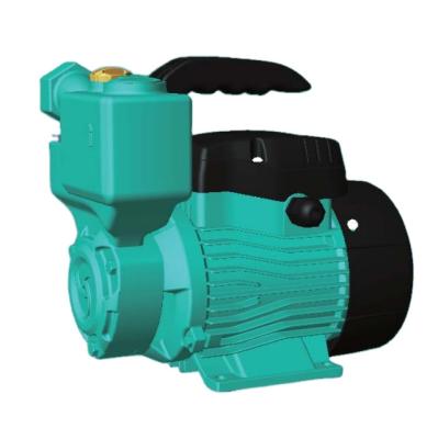 China self-priming & Auto on/off & Big small head peripheral LION water pump APSm45F 0.55kw copper flow 0.75HP winnding self-priming peripheral electric pump for sale