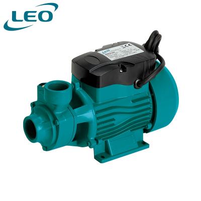 China High Head LION DCP Series 12v Self Priming Peripheral DC Motor High Pressure Hydraulic Water Pump for sale