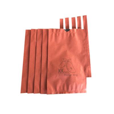 China RAINPROOF Double Layer Mango Grape Fruit Breeding Protection Cover Waterproof Paper Bag for sale